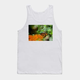 A Quiet Moment ~ Gila National Forest, New Mexico USA Tank Top